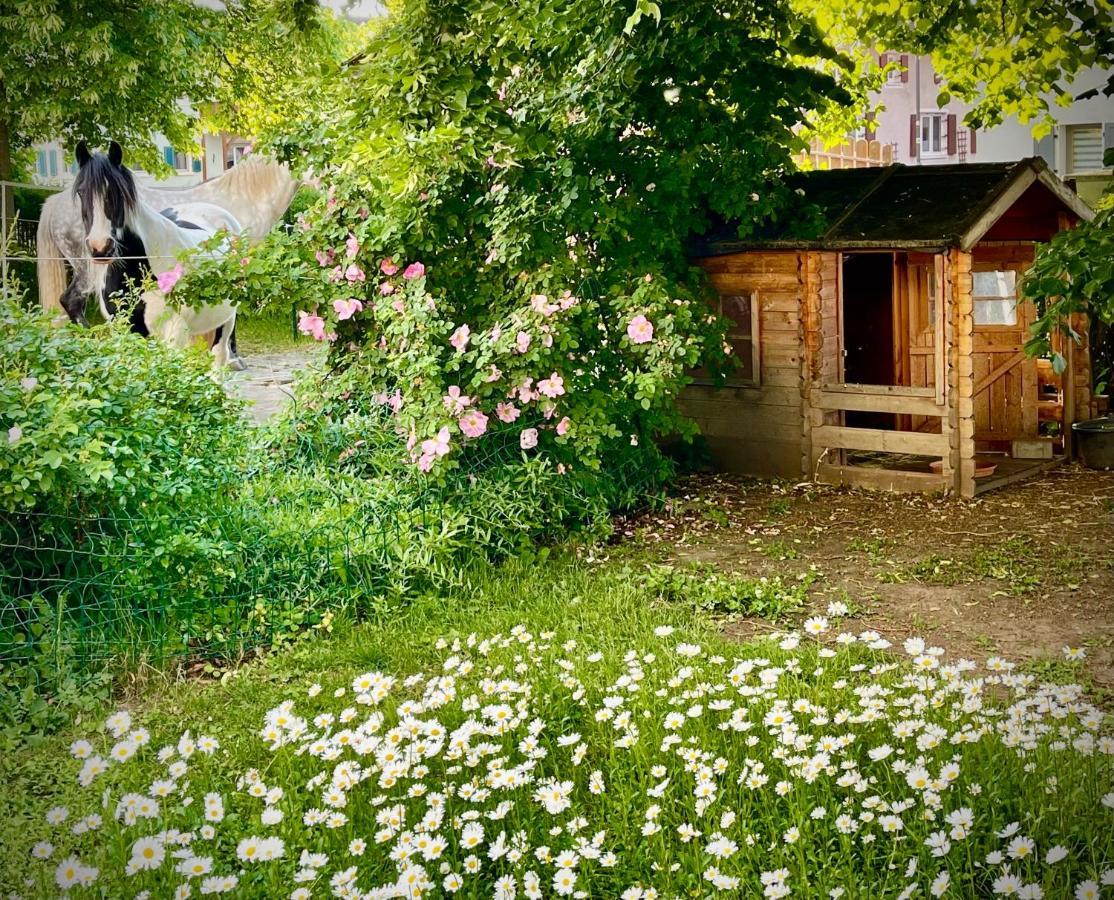 Ferienwohnung Rohrachhof Treuchtlingen Exterior foto